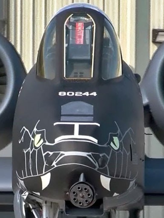 Stealth Warthog